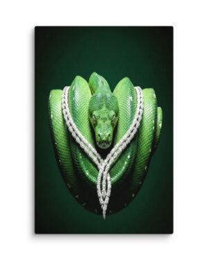 The Empress (Emerald Tree Boa)