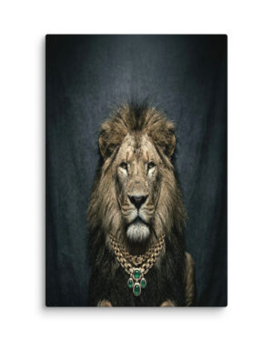 The Duke (African Lion)