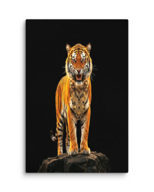 The Regent (Bengal Tiger)
