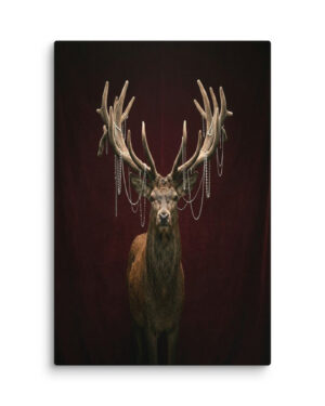 The Monarch (Red Deer Stag)