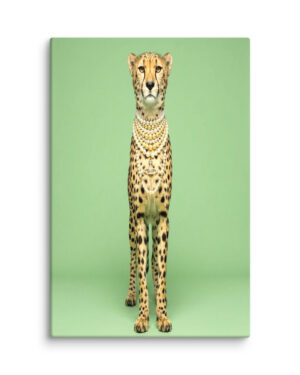 The Eccentric (Cheetah)