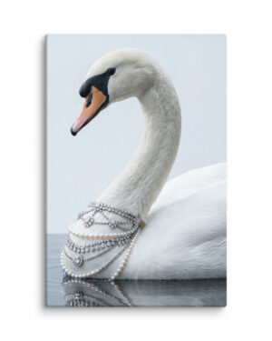 The Duchess (White Swan)